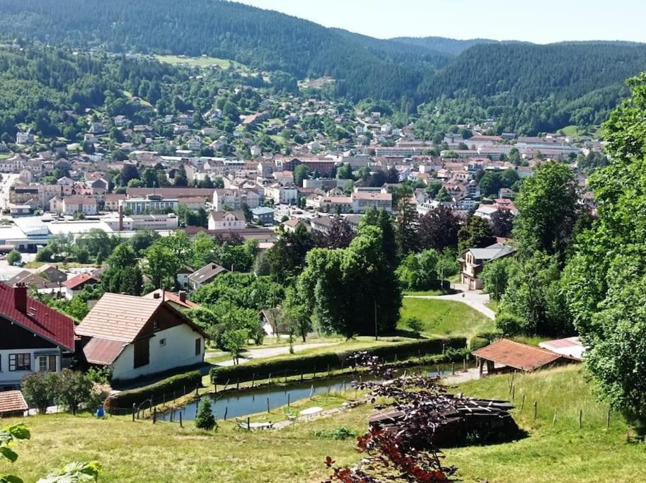 Chalet De Standing 14 Personnes Gerardmer Luaran gambar